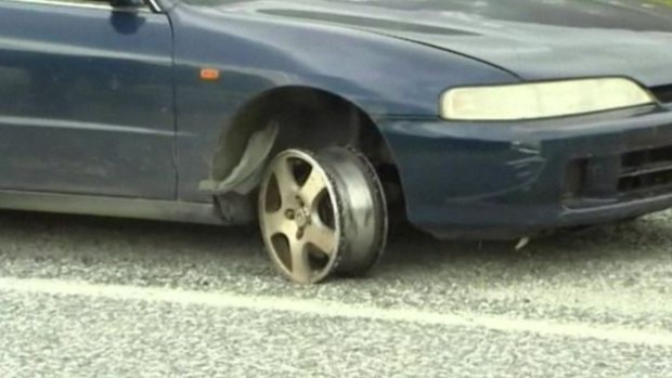 The sheep stopped the car when even road spikes had failed