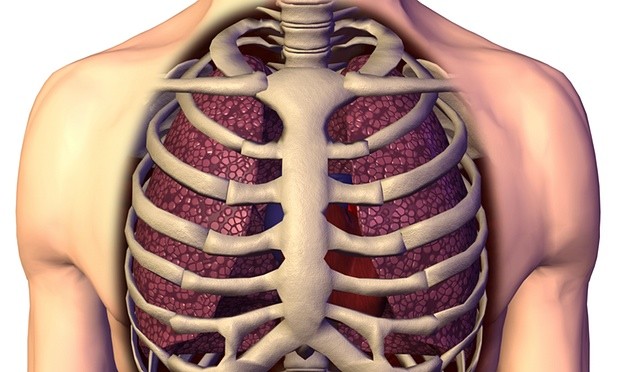  A sigh is a response to the brain’s command to reinflate the alveoli, which control the body’s traffic in oxygen and carbon dioxide, and which sometimes collapse. Photograph: Purestock/Alamy 