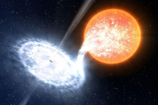 An artist's impression of a black hole devouring material from an orbiting star ESO/L. Calçada