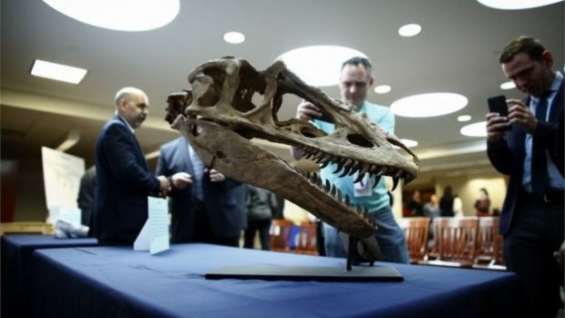 The US has returned 23 dinosaur fossils to Mongolia in the past three years