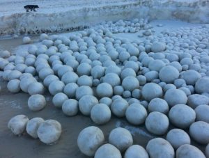Natural snowballs of varying sizes have covered part of the Gulf of Ob